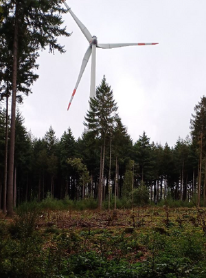 Windkraftanlage und durch Borkenkäfer zerstörter Wald am Greiner Eck